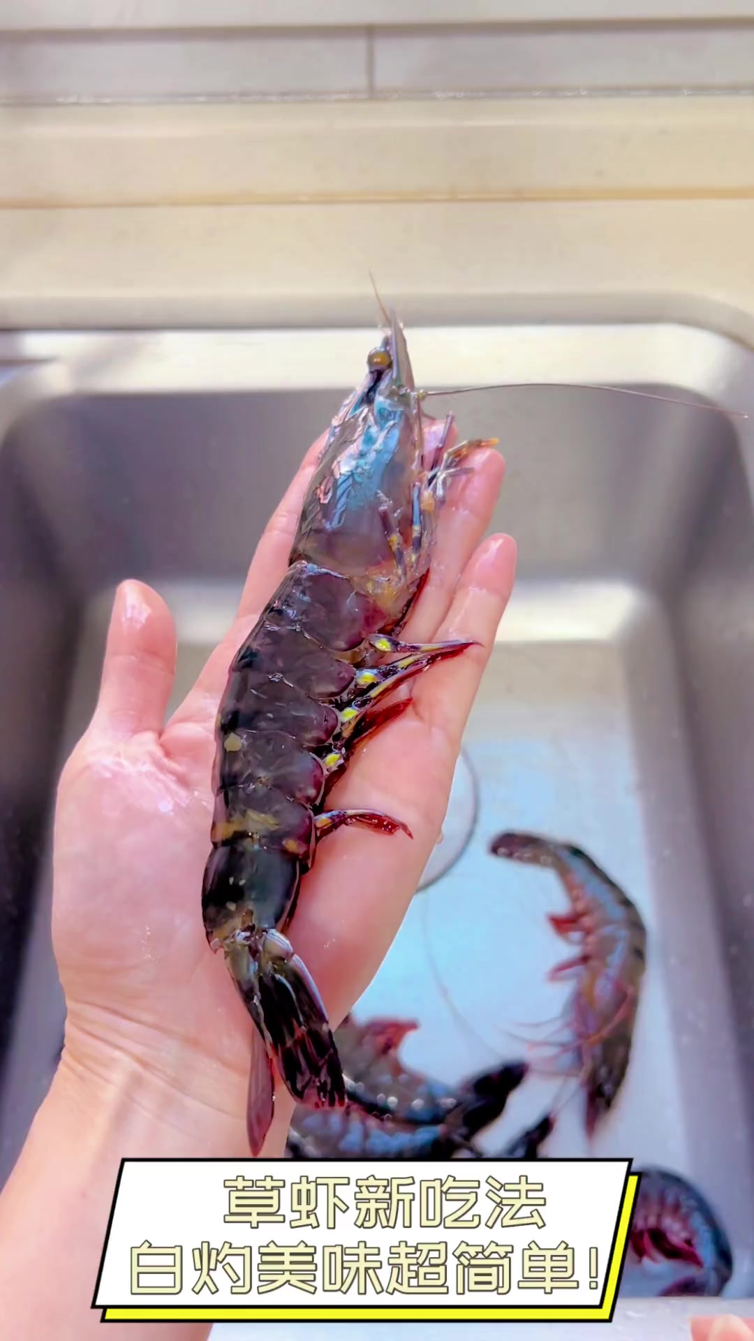 草虾新吃法,白灼美味超简单!