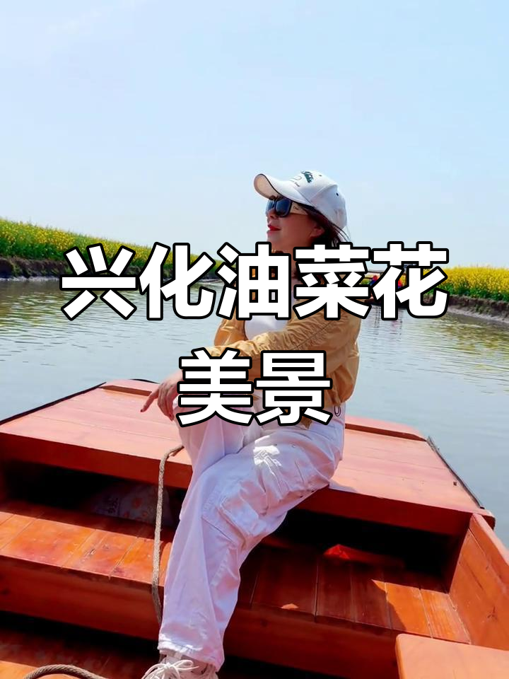 兴化千垛油菜花盛开,2025年4月8日美景尽收眼底
