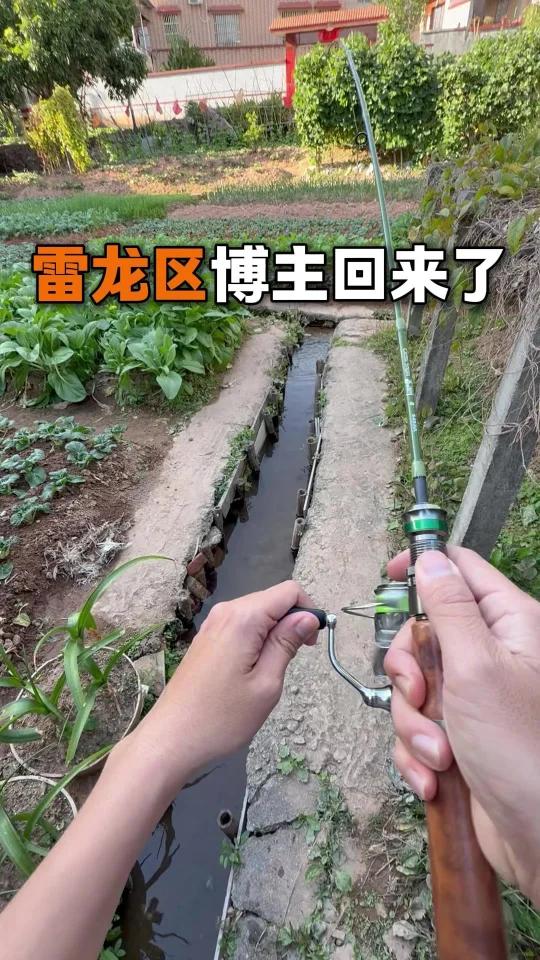后院的菜地水沟居然可以掏到这么多彩虹雷龙