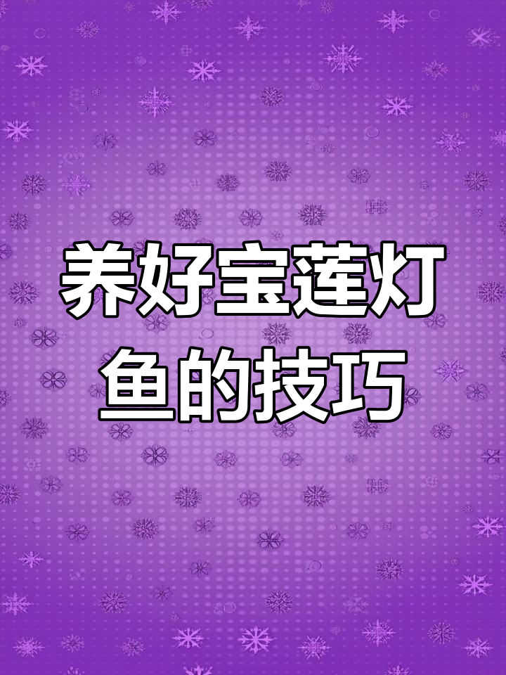 宝莲灯鱼养殖全攻略:从水缸到饲料管理