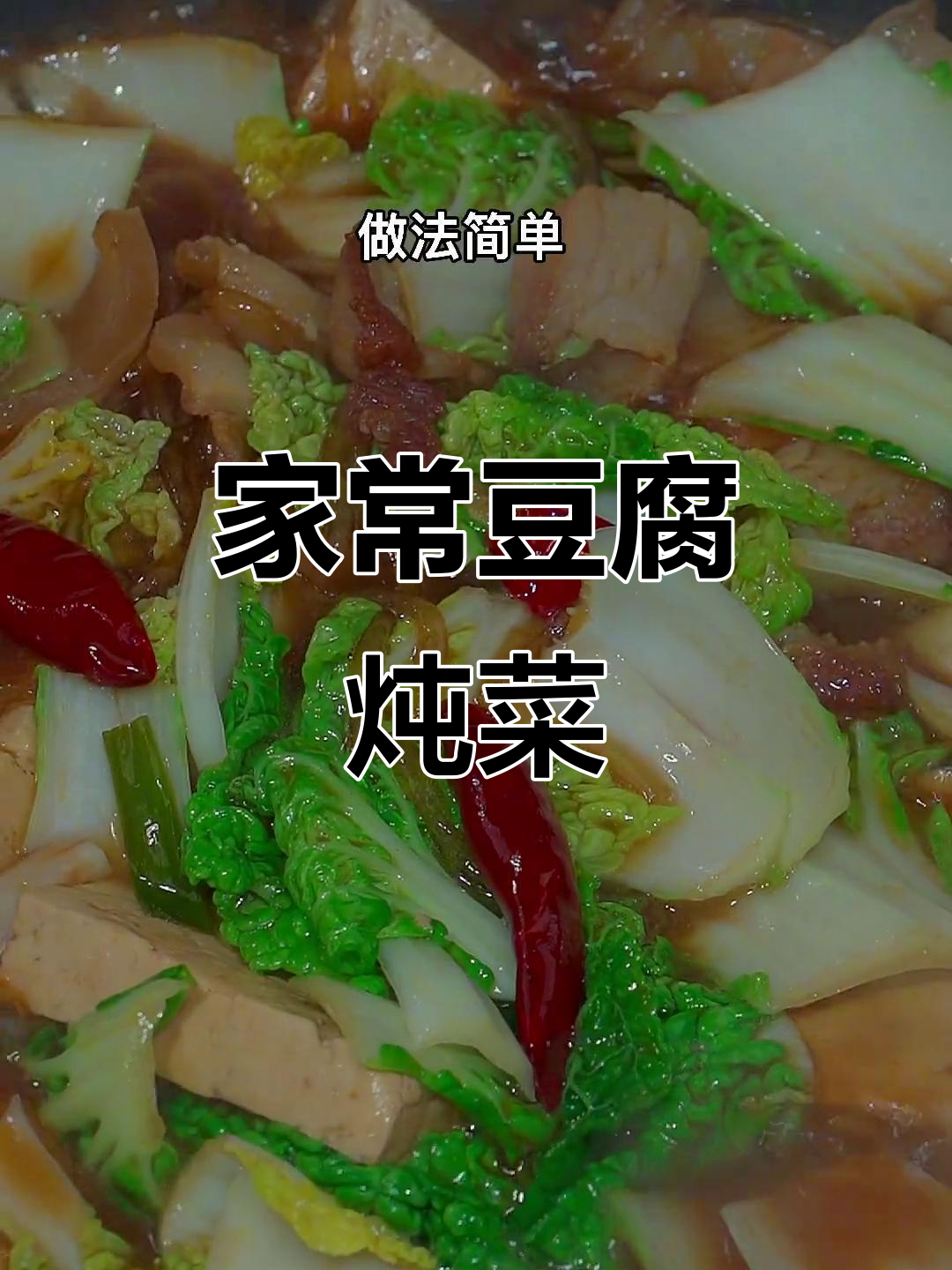 简单又暖心的白菜豆腐炖粉条,家常味十足