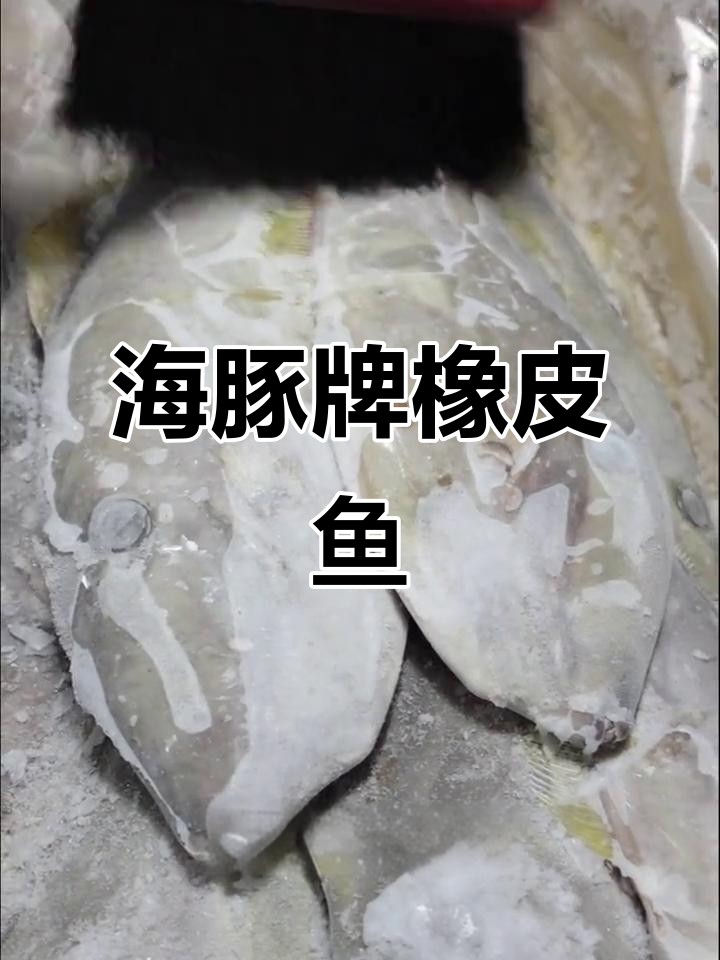 橡皮鱼：六两到一斤，海豚牌长箱包装足斤足量