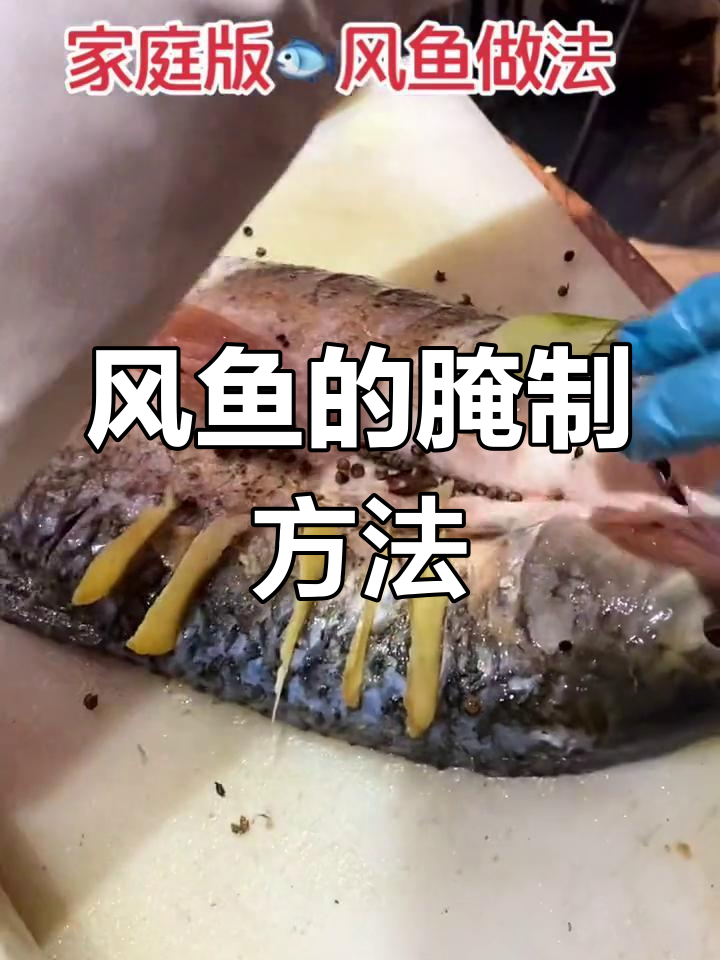 风鱼腌制技巧全攻略