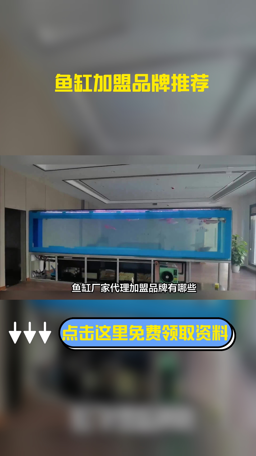 鱼缸厂家代理加盟品牌有哪些,推荐几个受欢迎品牌