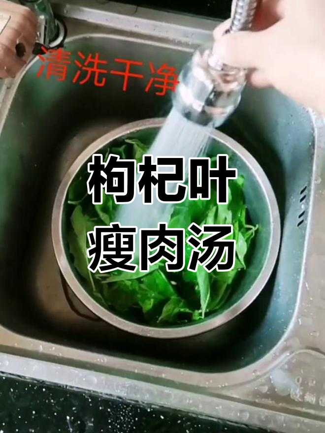 枸杞叶瘦肉汤,解腻又美味!