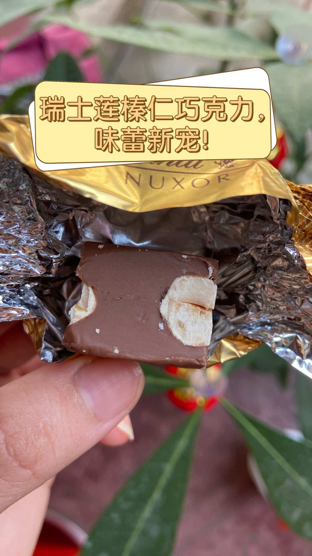 瑞士莲榛仁巧克力,味蕾新宠!
