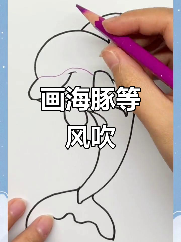 海豚手绘,等你来吹风