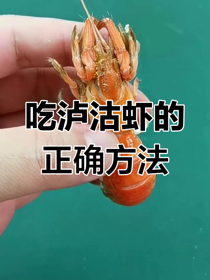 泸沽虾的完美吃法,黄满肉嫩