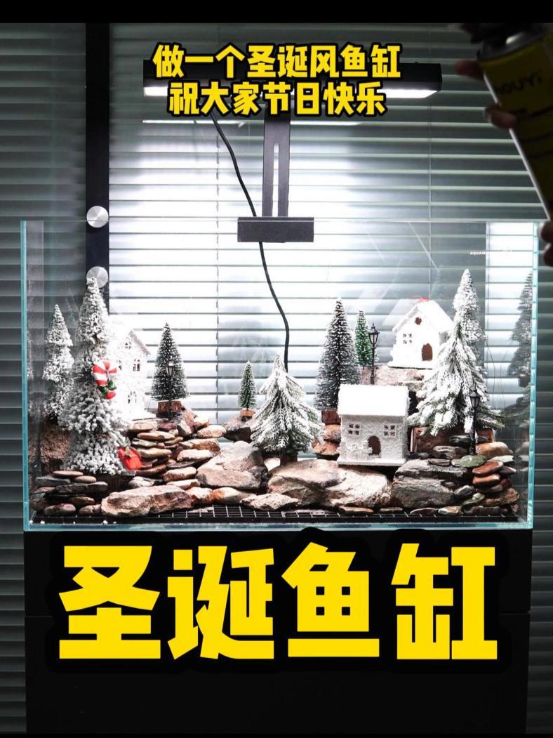 这么快就要元旦啦,做一个新年风格圣诞风格的鱼缸!水族 养鱼 造景 鱼缸