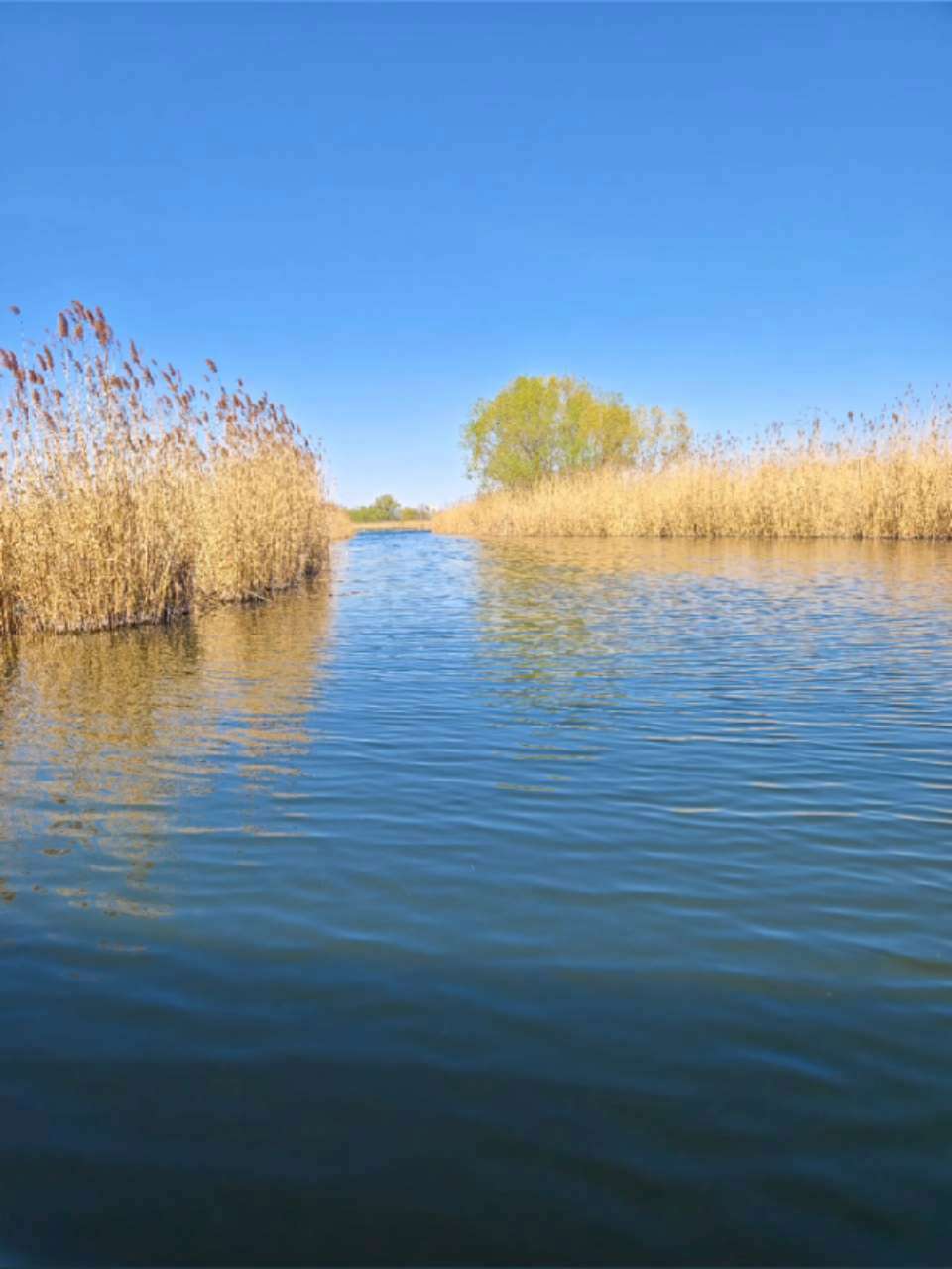 2025之旅河北行(三)初春的白洋淀,既有冬日残留的宁静与冷峻,又蕴含着春天即将而来的蓬勃