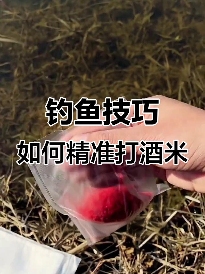 钓鱼人疯狂打酒米,集中窝点才能吸引大鱼