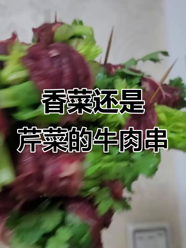 香菜or芹菜?牛肉串串香你更爱哪种口味!