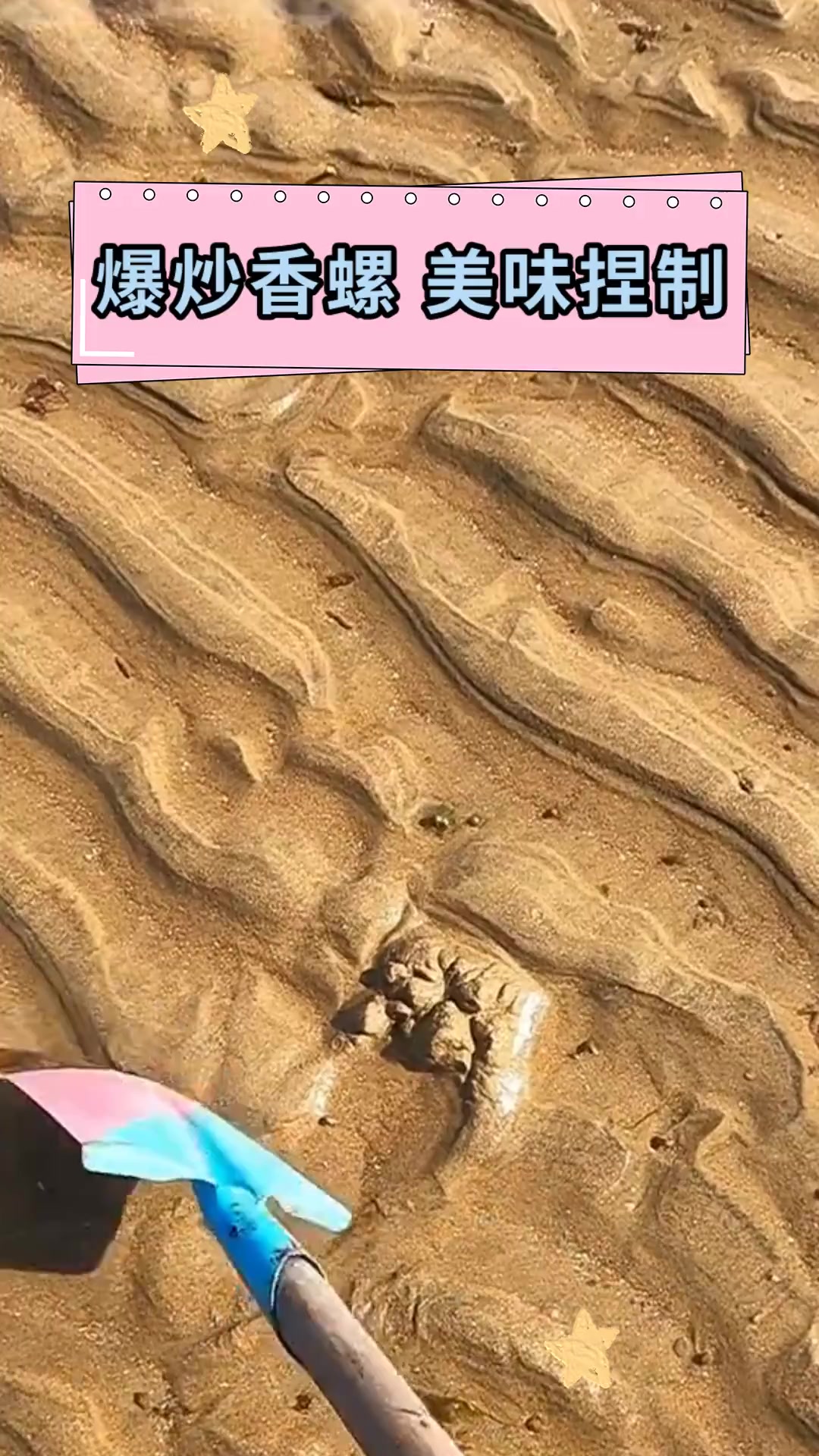 爆炒香螺 美味捏制