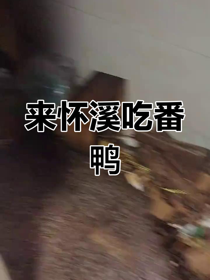 怀溪番鸭的美味与乡村风情