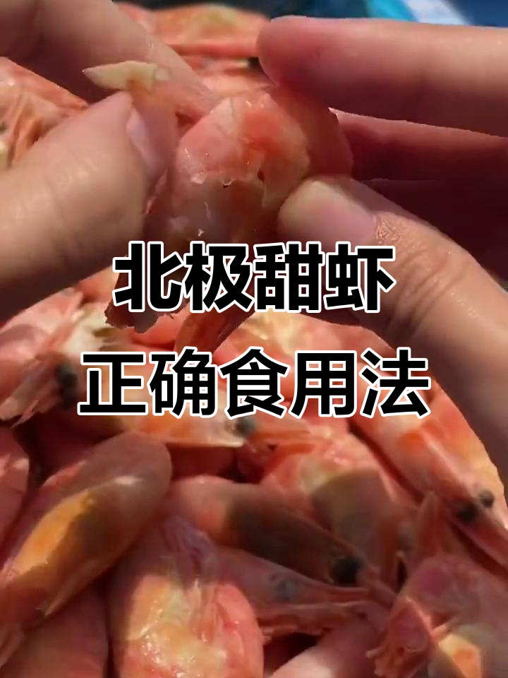 北极甜虾头籽超好吃,解冻后轻松剥壳吃肉