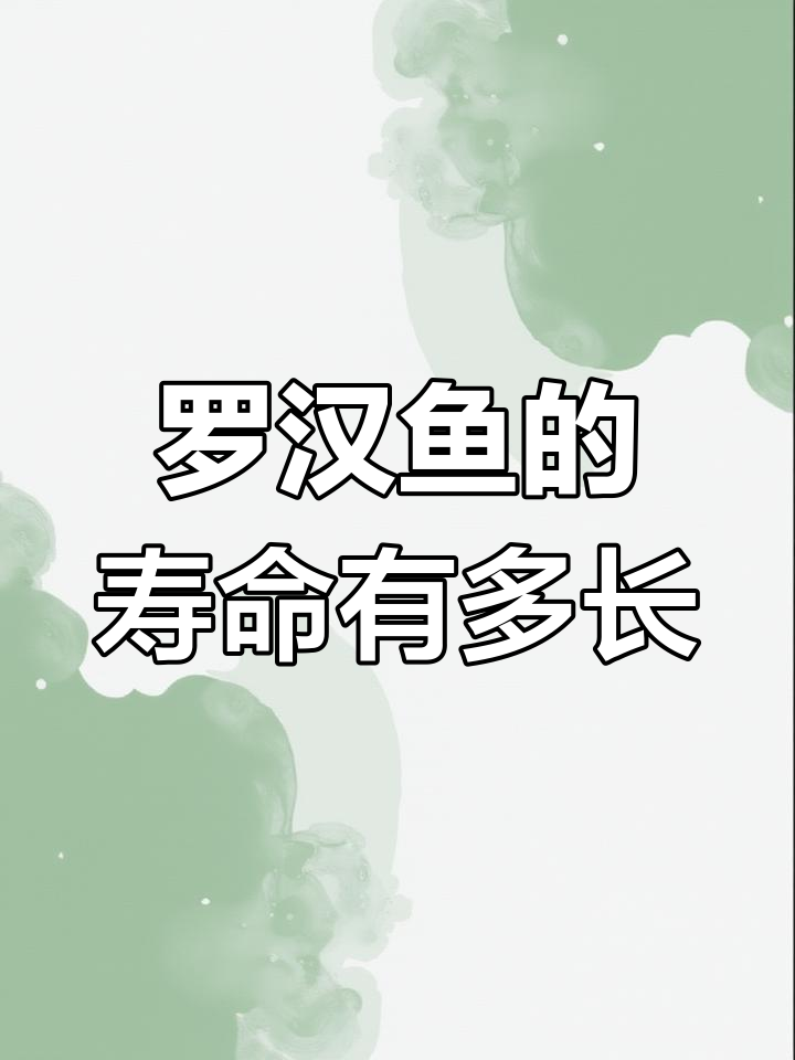 罗汉鱼寿命揭秘:最长能活五十年,环境影响大