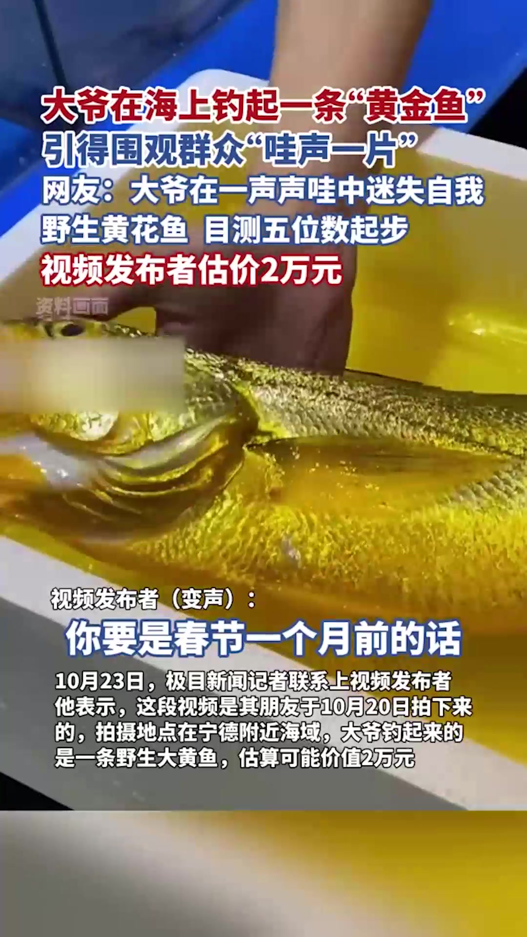 大爷在海上钓起一条“黄金鱼”,现场“哇声一片”,视频发布者估价2万元