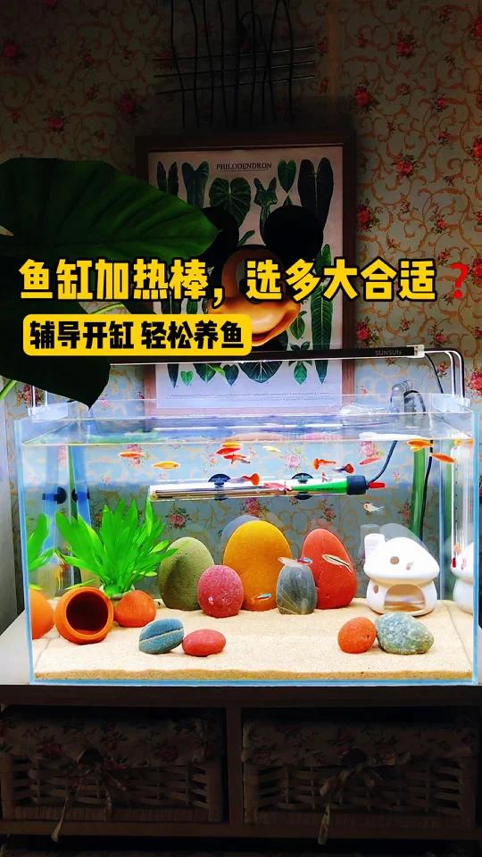 天气冷了,鱼缸加热棒怎么选,买多大合适