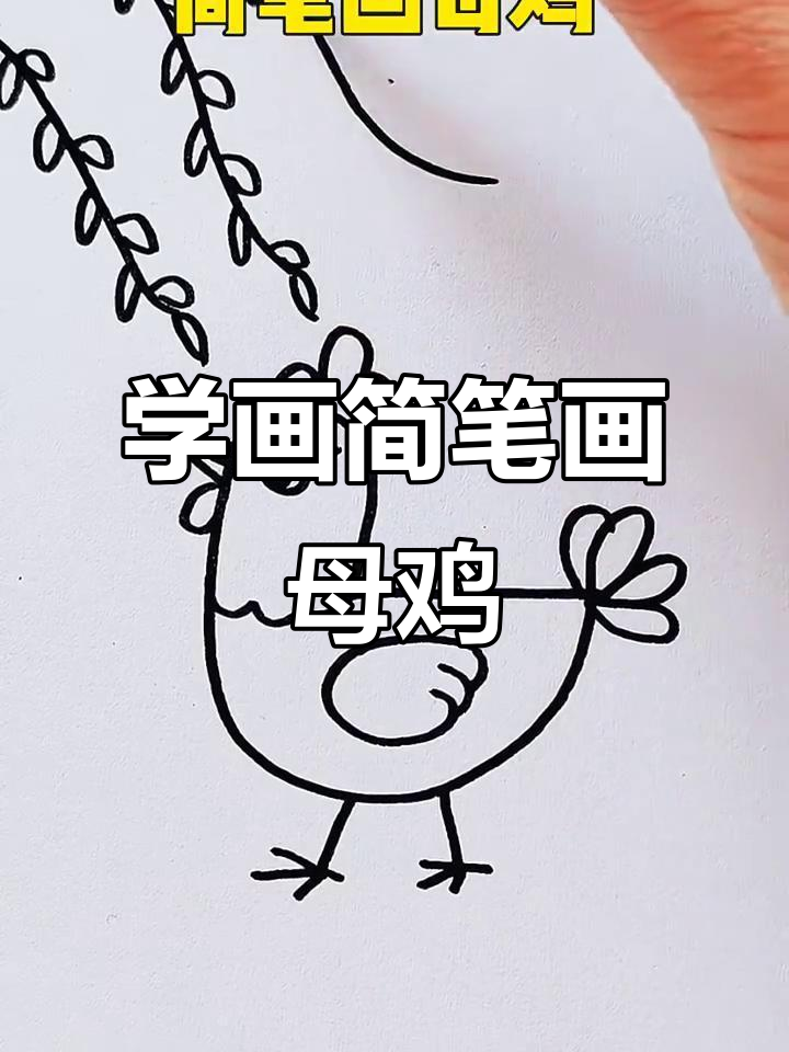轻松学画可爱母鸡,步骤简单有趣