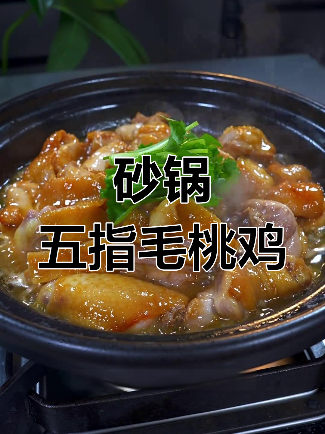 五指毛桃鸡煲,香气扑鼻,皮爽肉滑