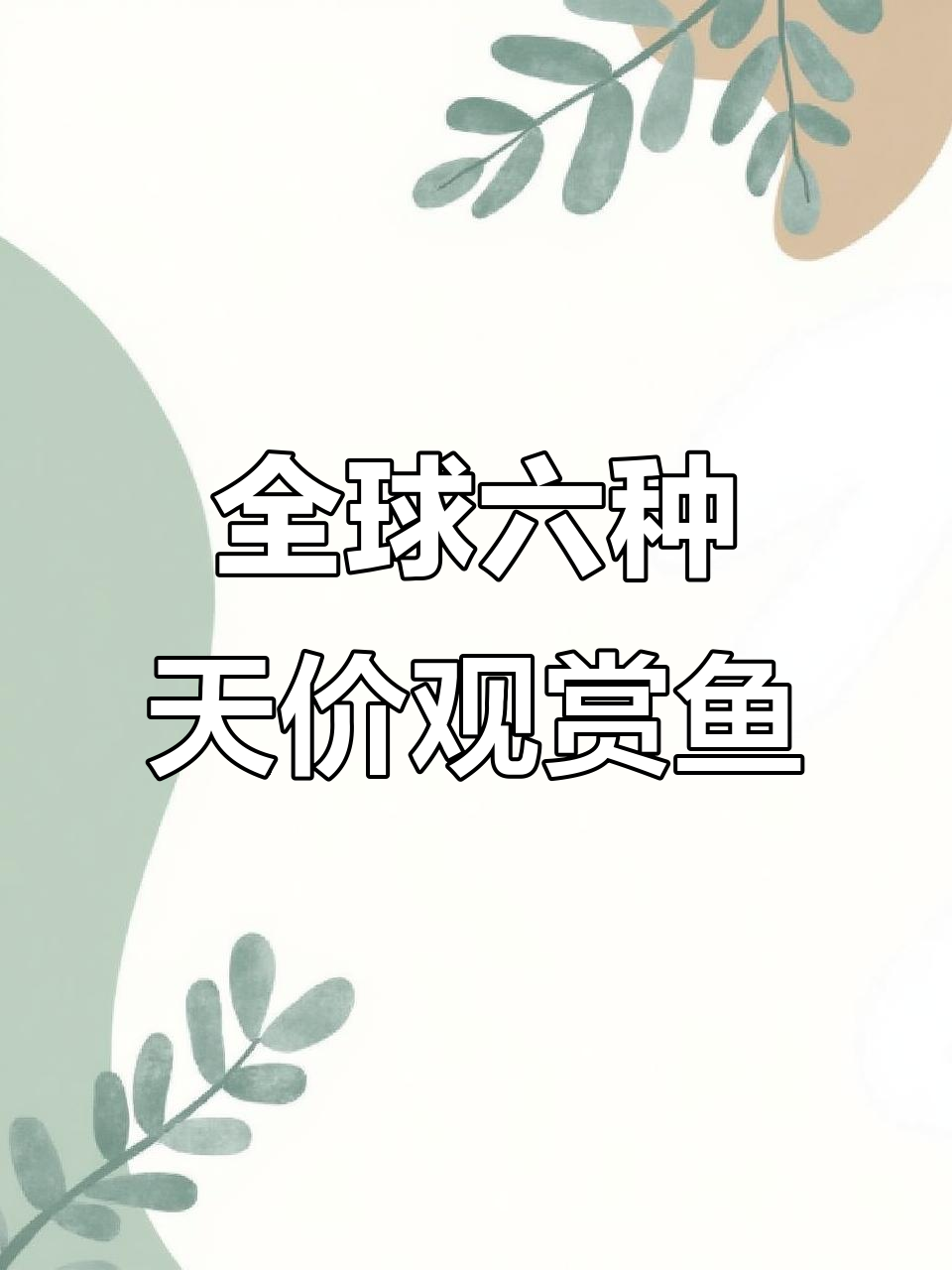 世界六大最昂贵观赏鱼,锦鲤楼兰领跑!