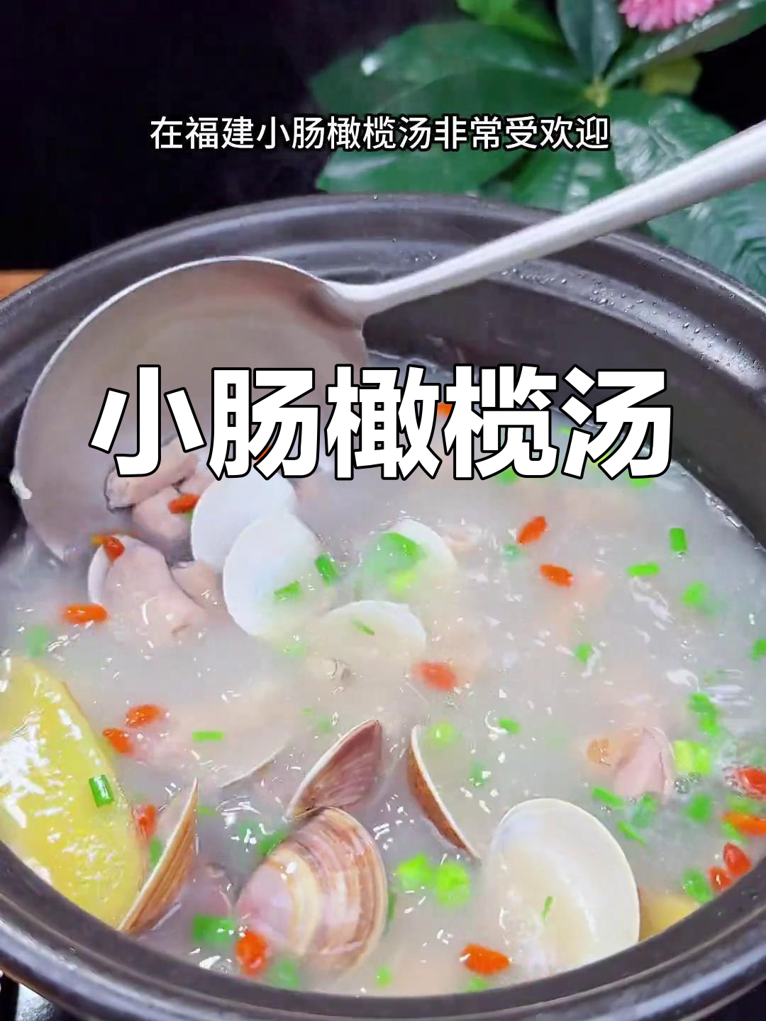 福建小肠橄榄汤,油腻后必喝的清甜解腻