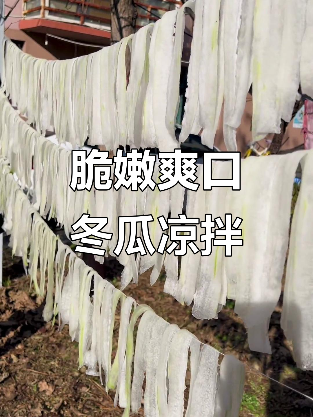 夏季必备!清爽开胃冬瓜凉拌菜,简单又美味