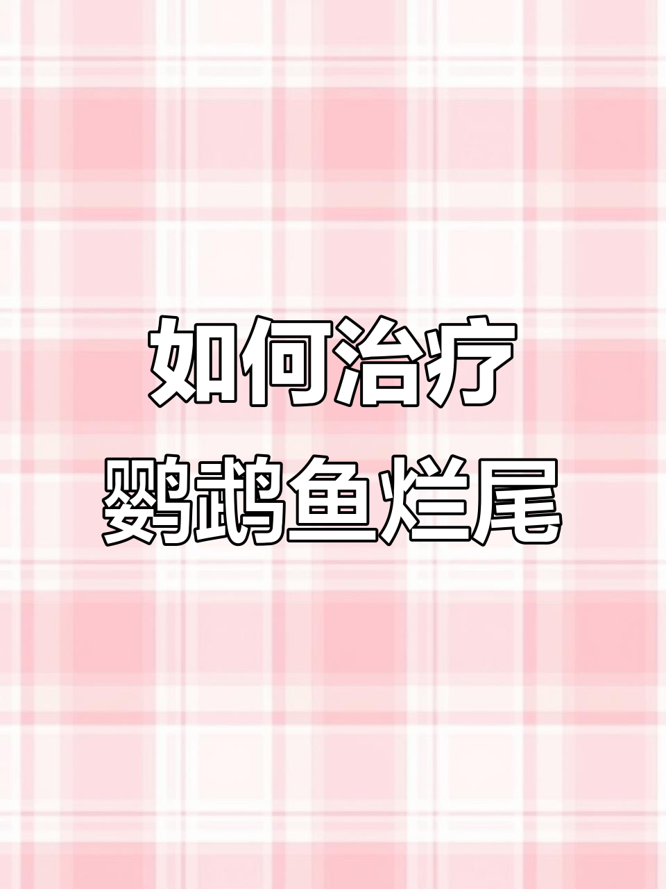 鹦鹉鱼烂尾怎么办?水质和外伤原因分析
