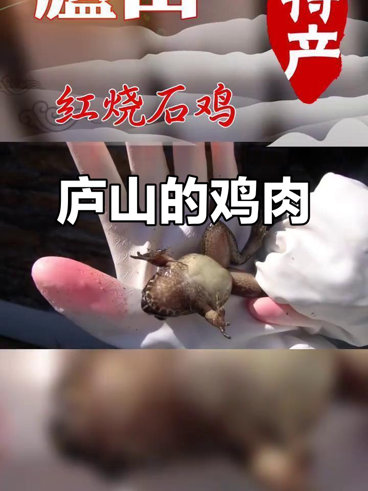 庐山最昂贵的石鸡，竟然是这样！
