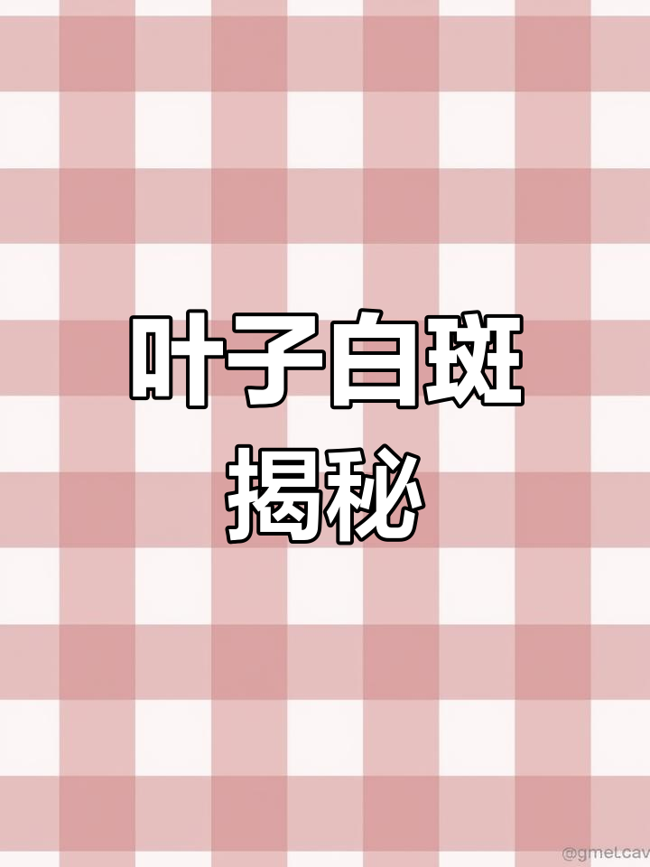 蔬菜叶片上的白斑,原来是虫子作祟!