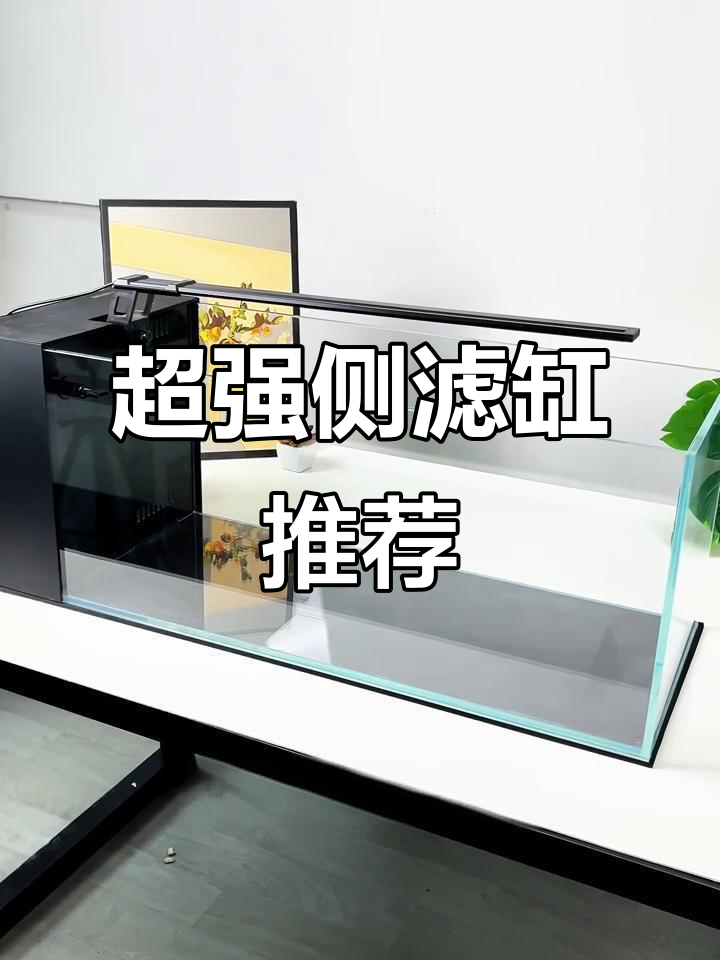 侧滤缸完美搭配,溪流缸首选!