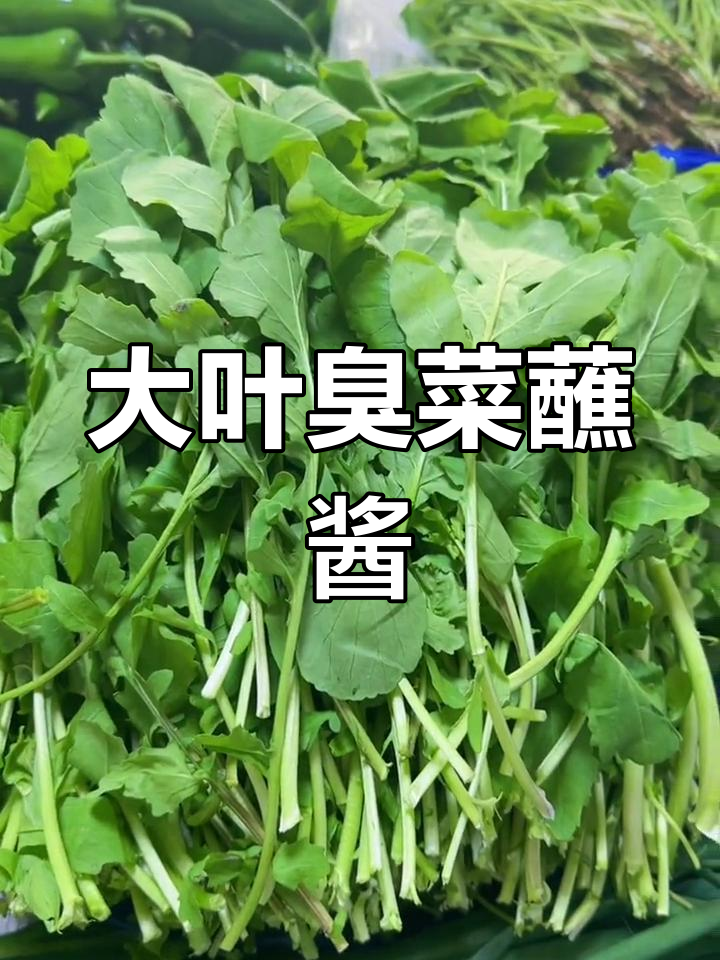 新鲜大叶臭菜,东北风味蘸酱