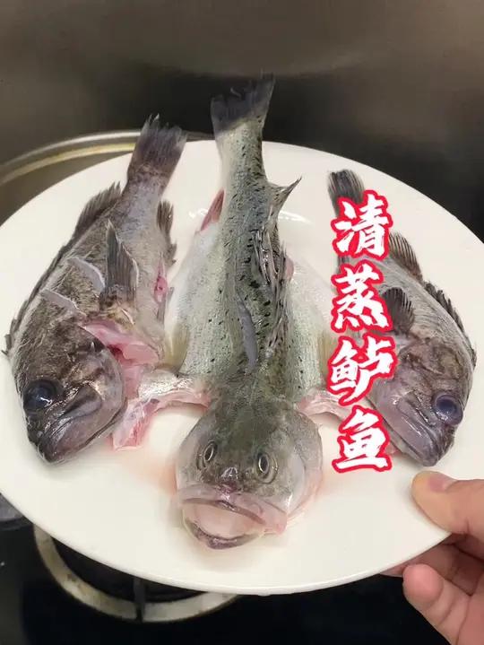 清蒸鲈鱼,野生的海鲈鱼身材苗条,体内没有油脂,没有腥味。鲈鱼 海鲈鱼 清蒸鲈鱼