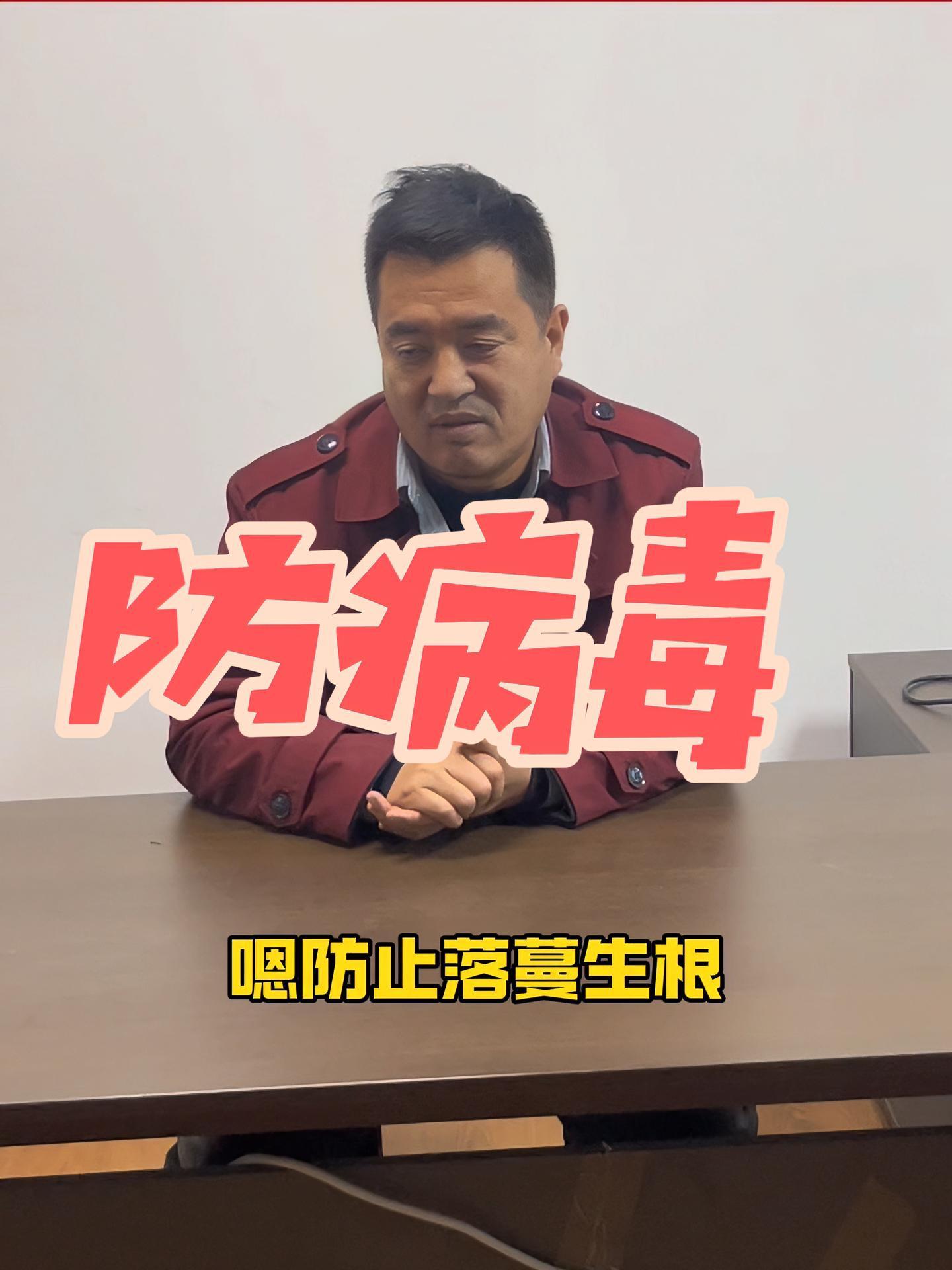 怎么种植黄瓜，没有病毒病？蔬菜种植 病虫害防治 蔬菜大棚 黄瓜种植技术