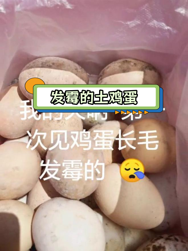 房间太潮湿,鸡蛋鸭蛋都发霉了