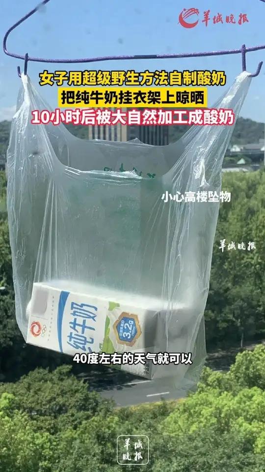 女子用超级野生方法制作酸奶,把纯牛奶挂衣架上晾晒,10小时后被大自然加工成酸奶,来源 小羊