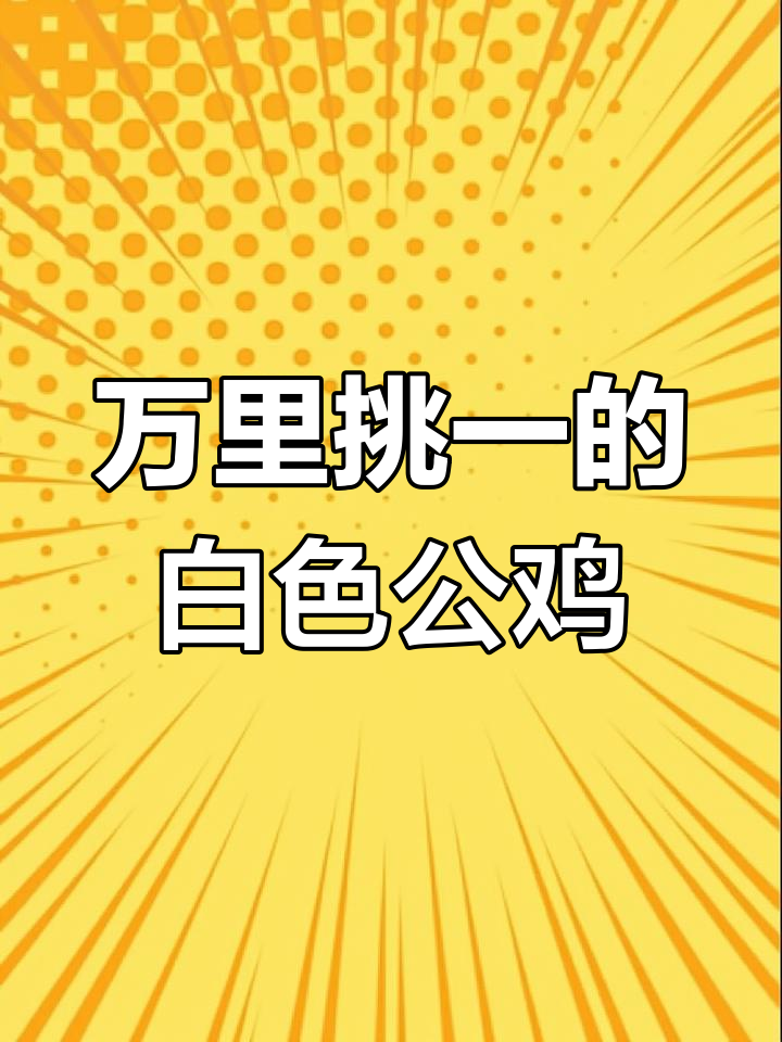 纯白公鸡,树林中的奇迹