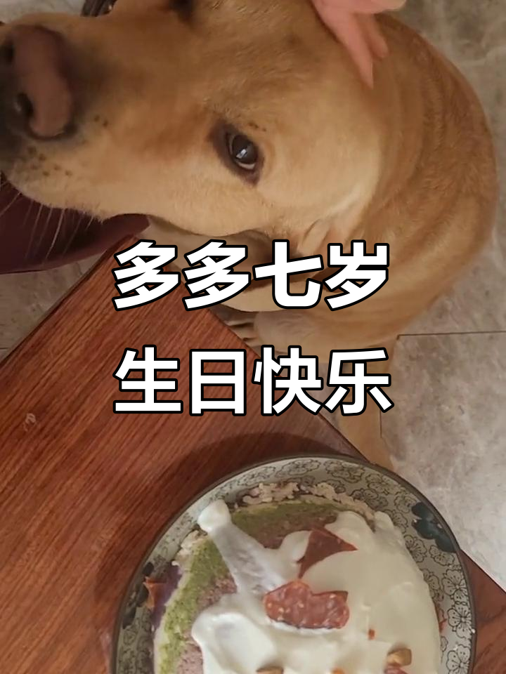 多多七岁生日,蛋糕和祝福一起送到!