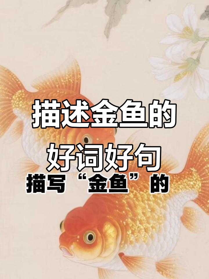 金鱼描写词汇大集合,优美句子轻松学