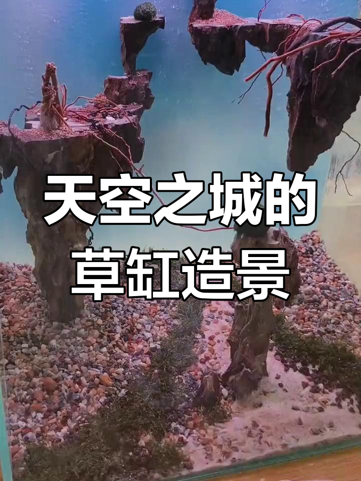 小鱼缸天空之城造景,40.30.40尺寸打造理想景观