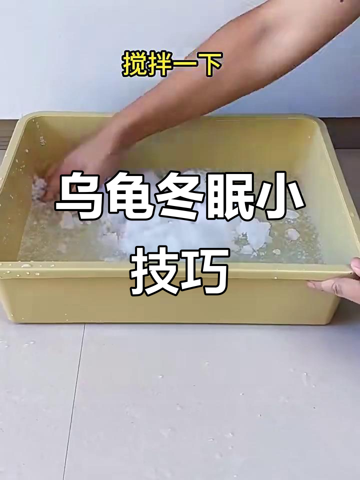 乌龟冬眠神器,简单又实用