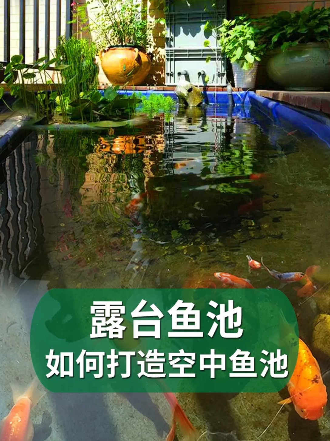 4年经验打造露台空中鱼池,让你少走弯路