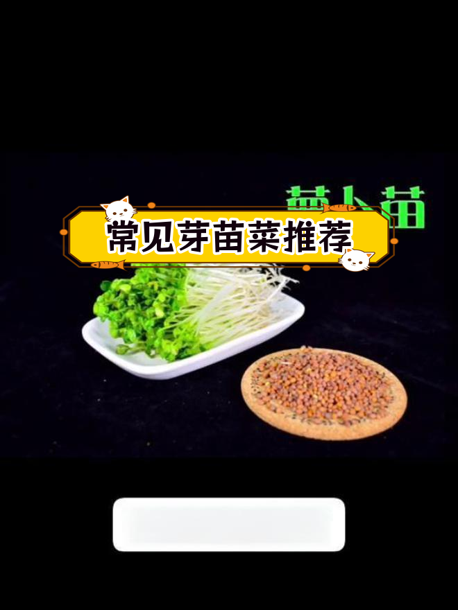 这些芽苗菜你尝过吗?