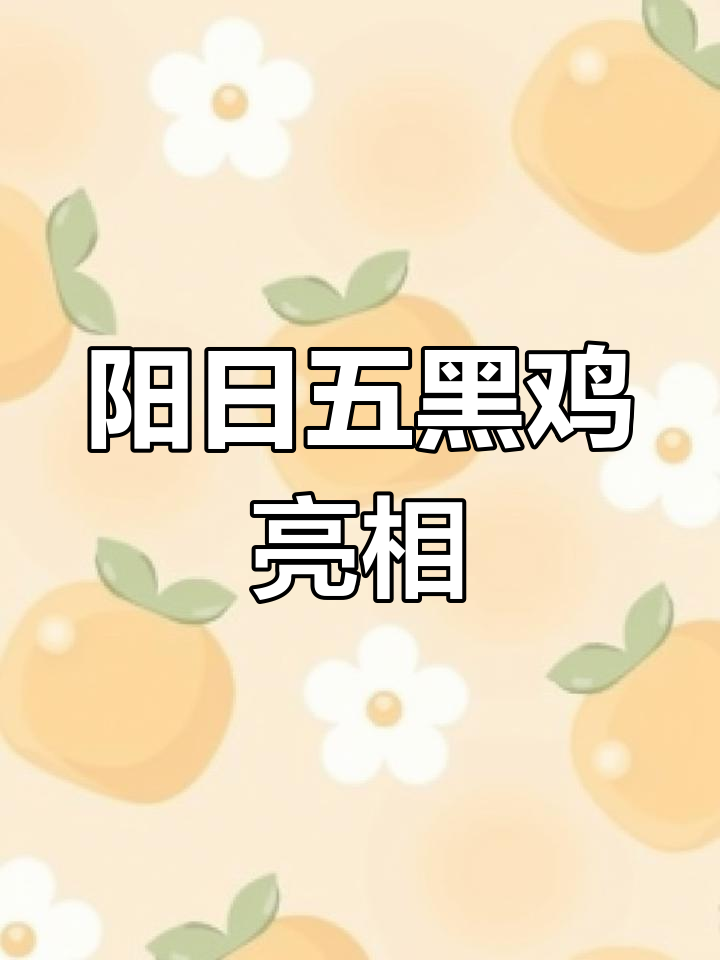 神农架王氏现捞鸭脖店推出阳日五黑鸡