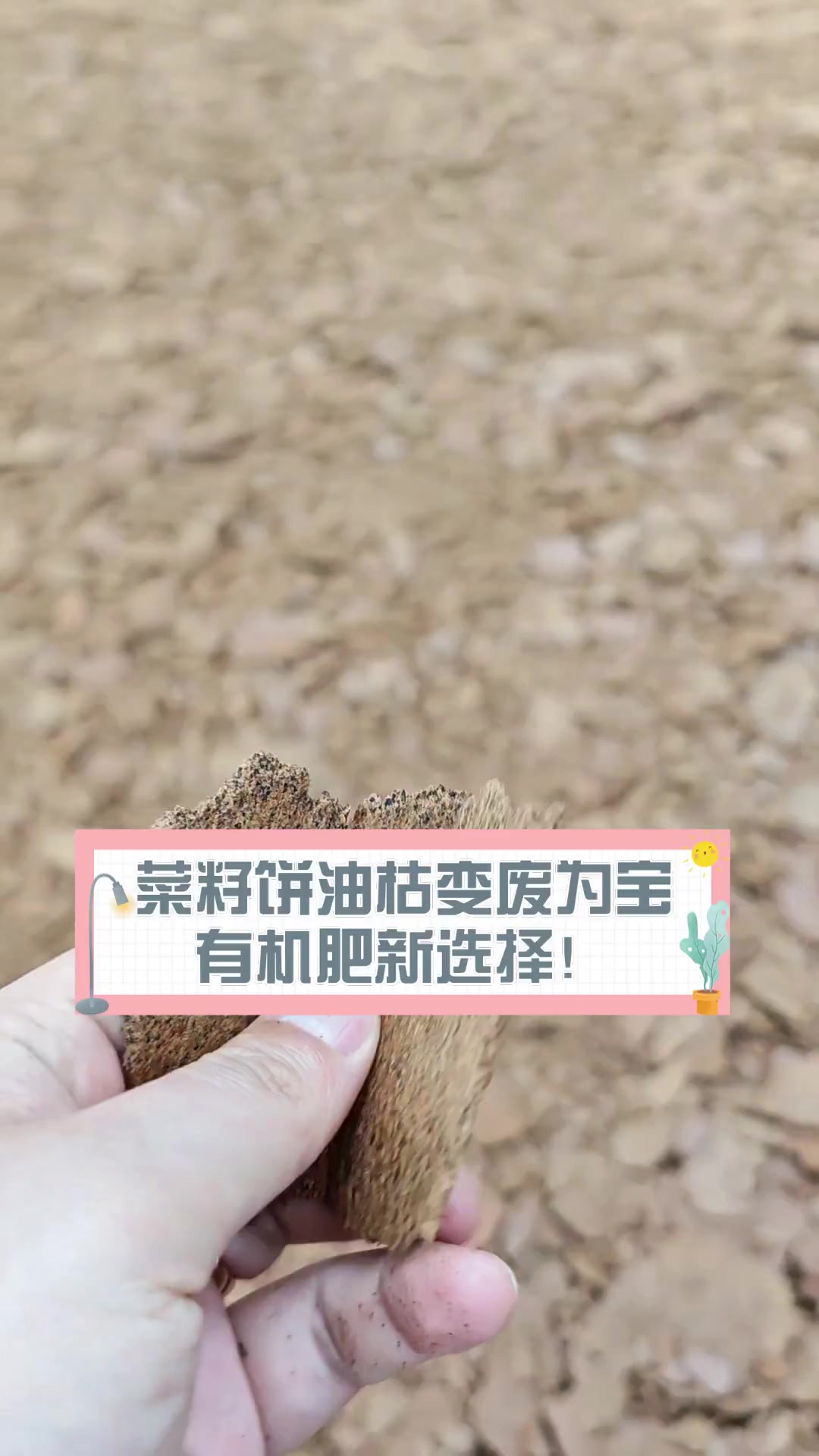 菜籽饼油枯变废为宝,有机肥新选择!