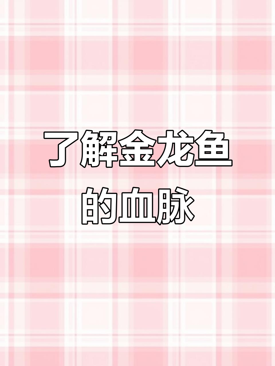金龙鱼的品种与血统揭秘:从红尾金到过背的演变