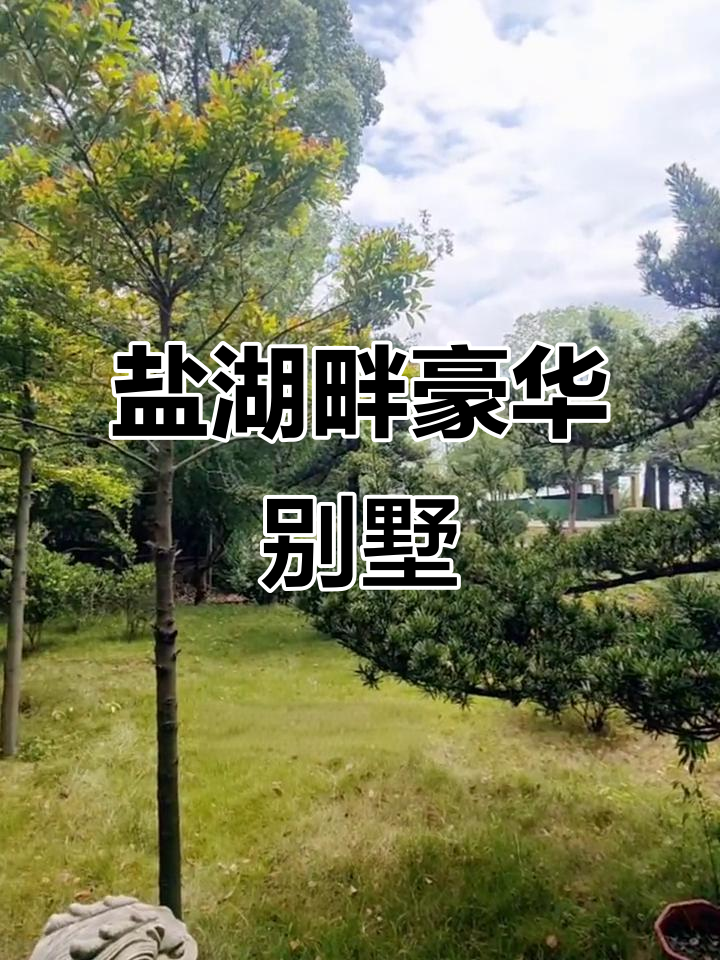 湖边独栋别墅,中式装修带KTV包房,私家花园与钓鱼台