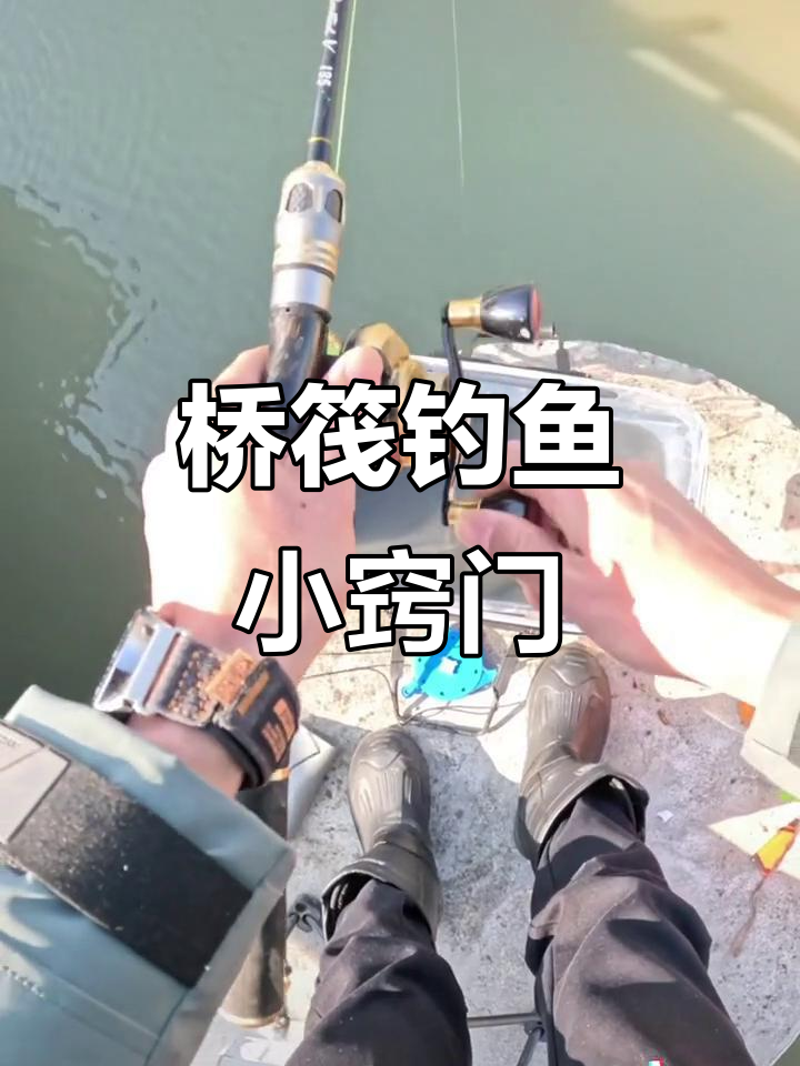 桥筏钓鲫技巧大揭秘,简易装备轻松上手