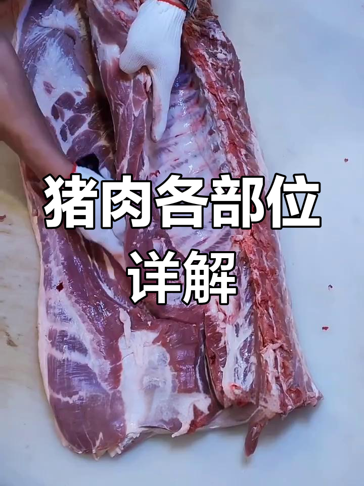 了解猪肉不同部位的特点与用途