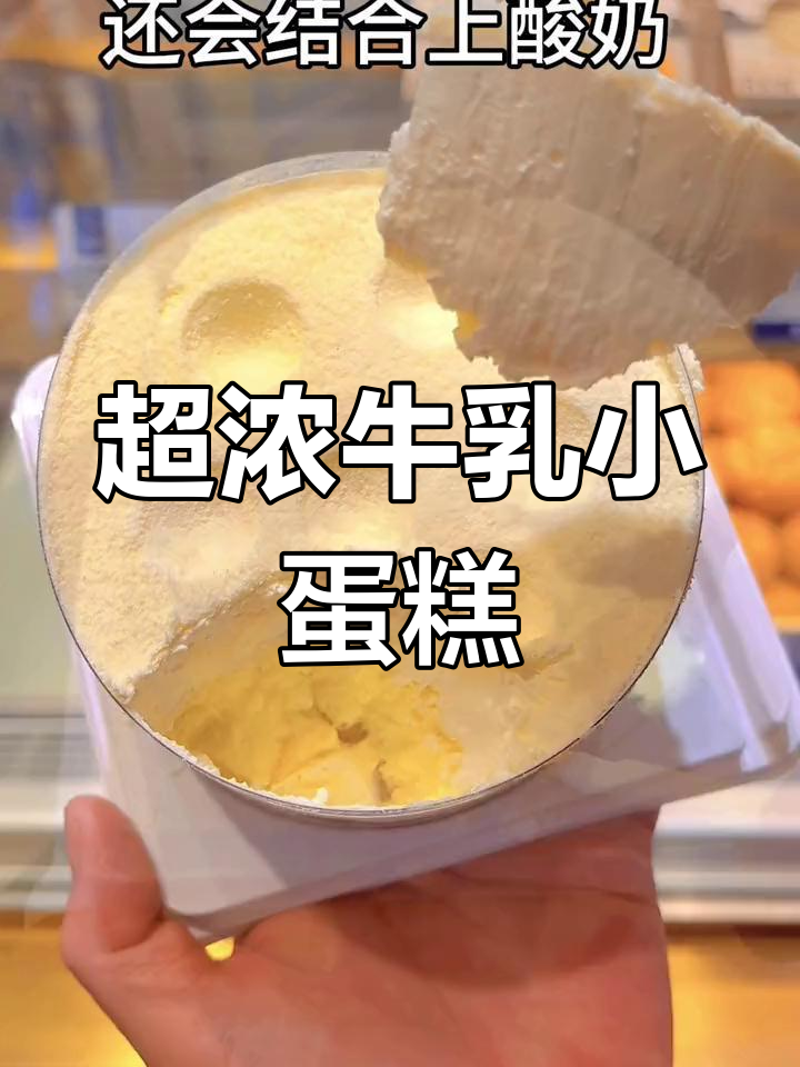 浓郁牛乳蛋糕,搭配马斯卡彭和生牛乳,口感无敌!